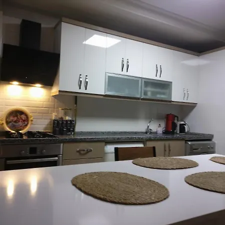 Seyhan'da 2 Bir Salon Full Apartmant Adana